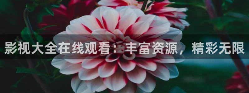 飘花影院理论片