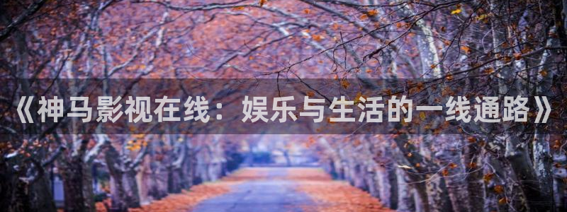 飘花电影网午夜