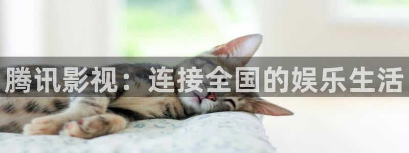 飘花电影网在线观看影视大全