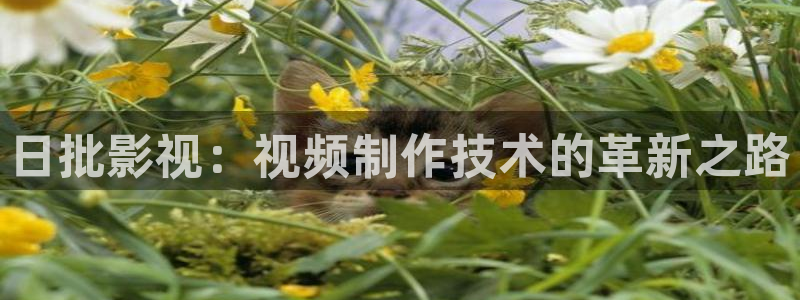 飘花电影在线观看免费观看