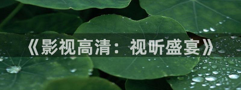 飘花手机在线