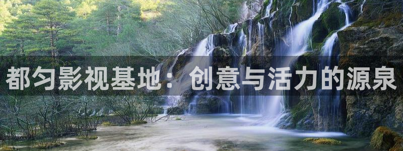 新飘花电影网官网