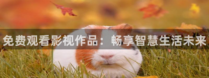 飘花影院在线观看