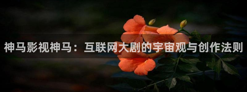 理论片一飘花影院