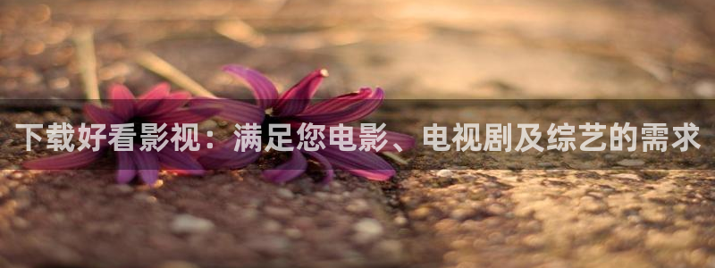 飘花电影 伦理